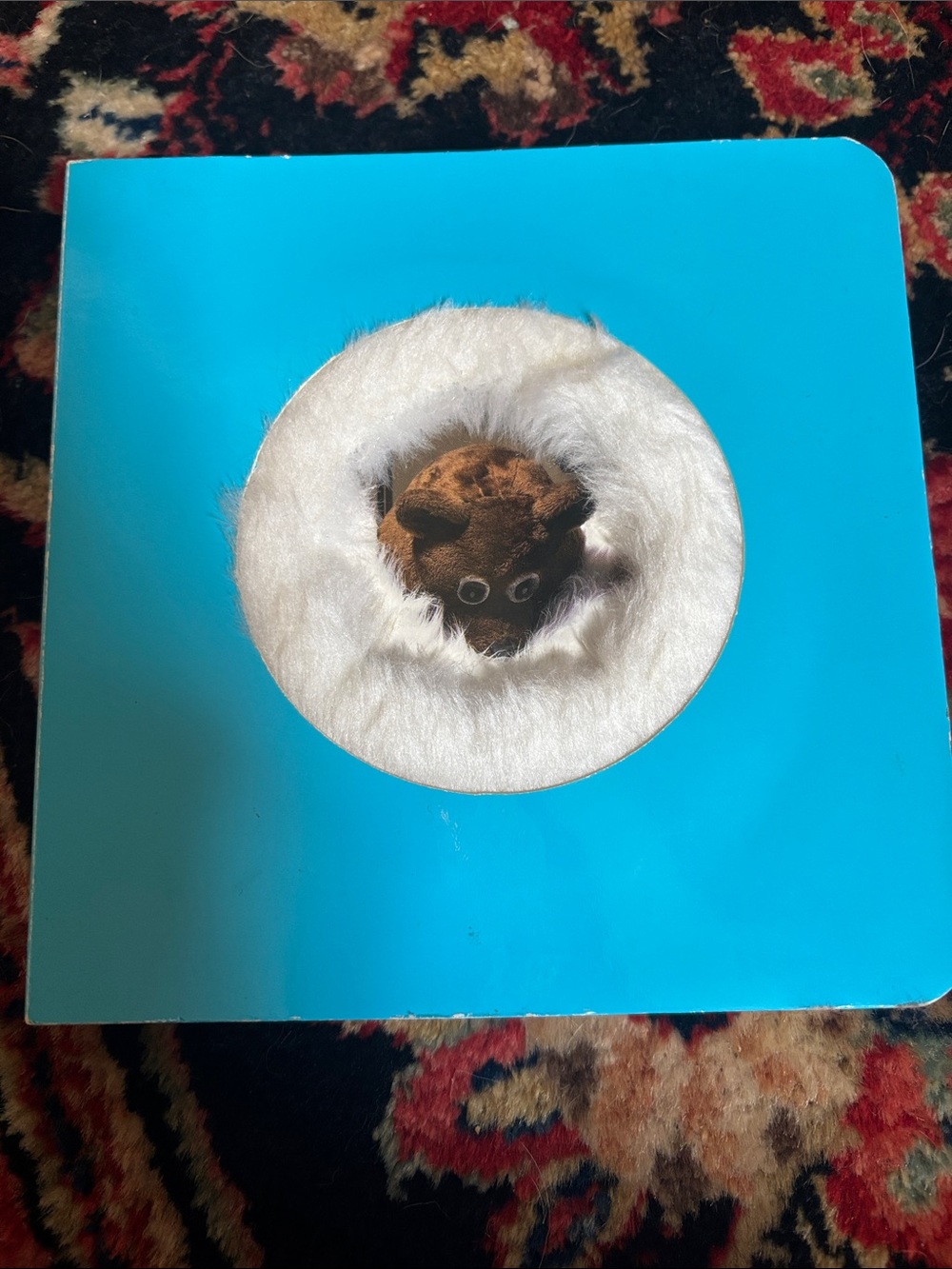 Furverts Book (Humor)